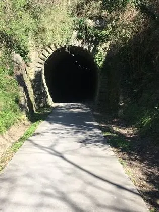 Apart Daire, 1 Büyük (Queen) Boy Yatak