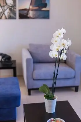 Deluxe Apart Daire, 2 Yatak Odası, Havuz Manzaralı