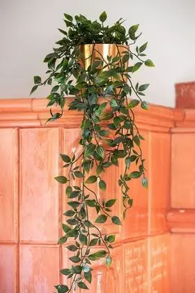 Apart Daire, 2 Yatak Odası, Balkon, Dağ Manzaralı