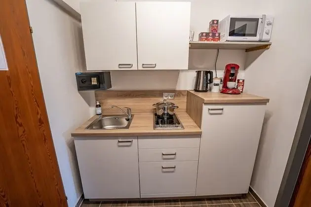 Deluxe Stüdyo Süit, Balkon, Dağ Manzaralı (Hallstatt Dachstein Inn)