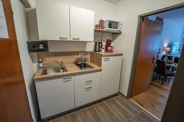 Deluxe Stüdyo Süit, Balkon, Dağ Manzaralı (Hallstatt Dachstein Inn)