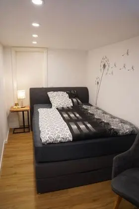 Superior Apart Daire, Özel Banyo (Hänsel)