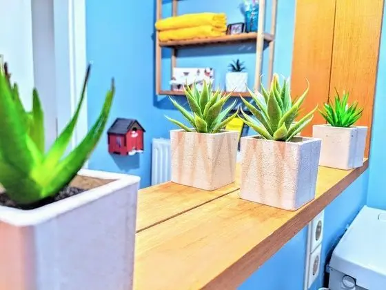 Comfort Stüdyo, 1 Yatak Odası, Sigara İçilmez, Şehir Manzaralı