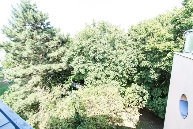 Comfort Apart Daire, 2 Büyük (Queen) Boy Yatak