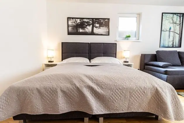 Deluxe Apart Daire, 1 Büyük (Queen) Boy Yatak ve Çekyat