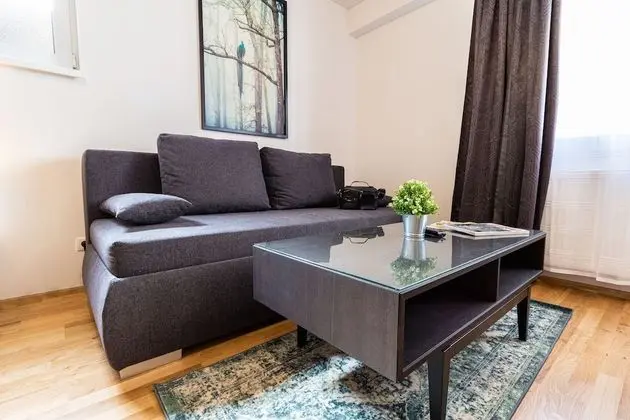 Deluxe Apart Daire, 1 Büyük (Queen) Boy Yatak ve Çekyat