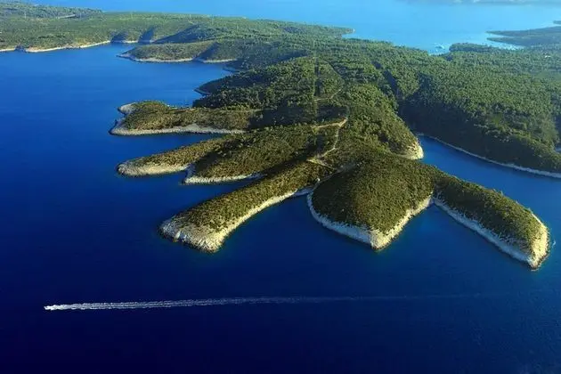 Apart Daire, 1 Yatak Odası, Teras