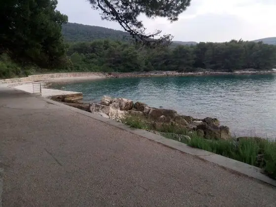 Apart Daire, 1 Yatak Odası, Teras