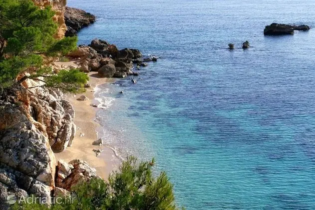 Apart Daire, 1 Yatak Odası, Teras