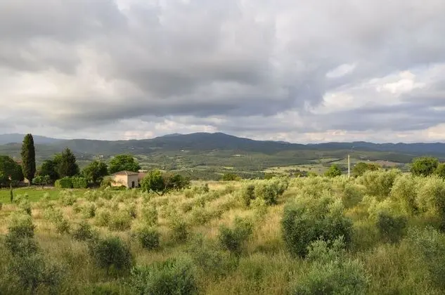 Apart Daire, 2 Yatak Odası, Sigara İçilebilir, Buzdolabı