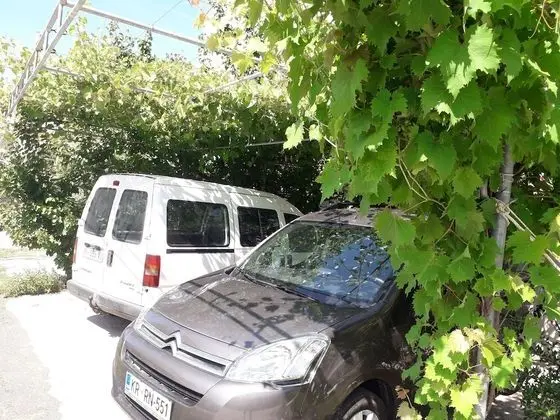 Apart Daire, 3 Yatak Odası, Engellilere Uygun, Teras