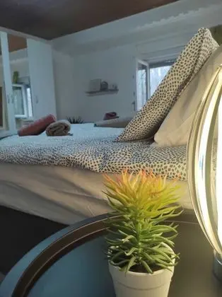 Apart Daire (One bedroom apartment)