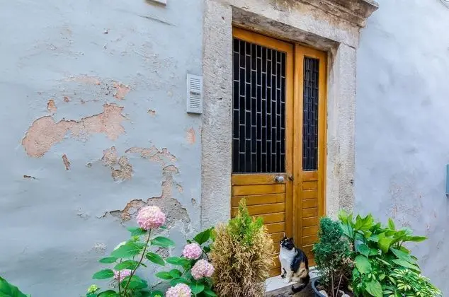 Apart Daire (Apartment Ivona - One Bedroom Apartme)