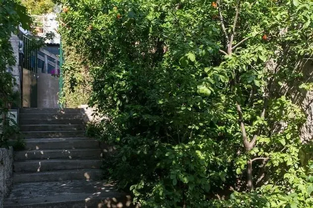 Apart Daire (One Bedroom Apartment)