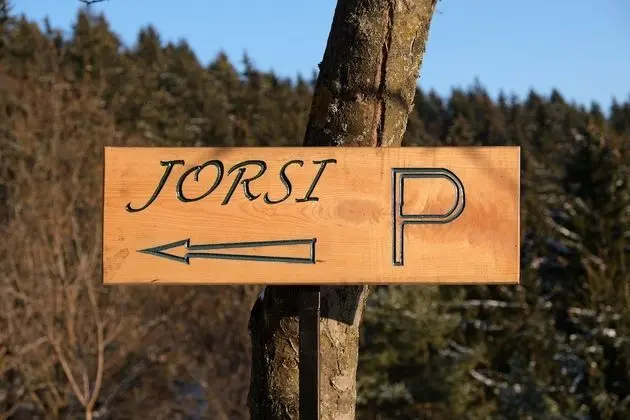 Apart Daire (Apartment Jorsi with Mountain view)