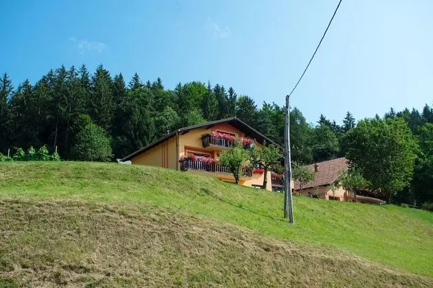 Apart Daire (Apartment Jorsi with Mountain view)