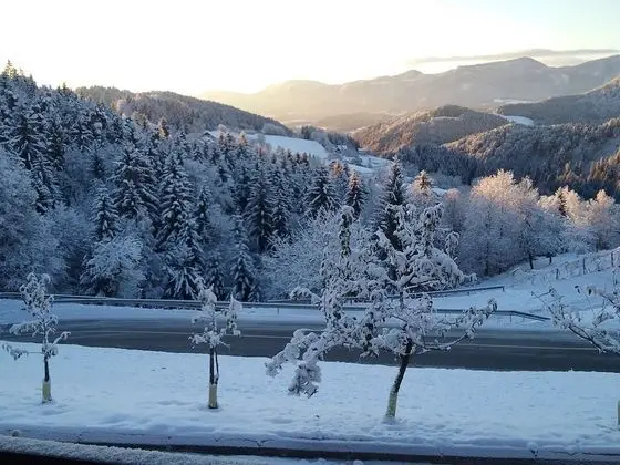 Apart Daire (Apartment Jorsi with Mountain view)