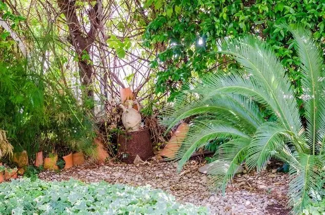 Apart Daire (One Bedroom Apartment with Terrace A2)