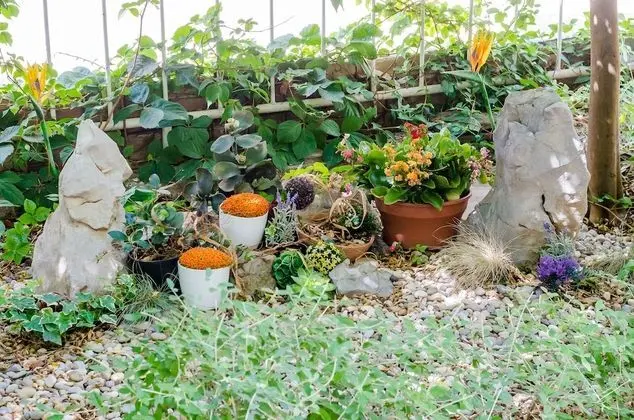 Apart Daire (One Bedroom Apartment with Terrace A2)