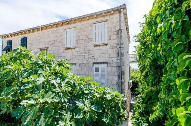 Apart Daire (One Bedroom Apartment with Terrace A2)