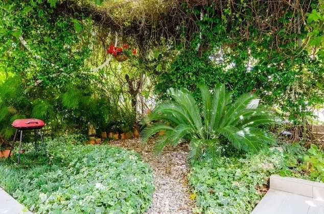 Apart Daire (One Bedroom Apartment with Terrace A2)