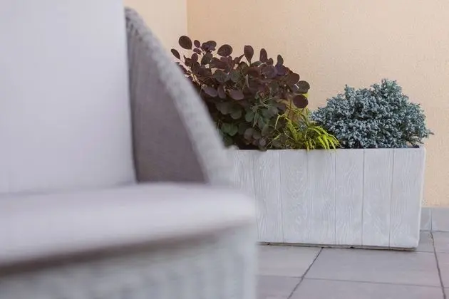 Apart Daire, 1 Yatak Odası, Balkon
