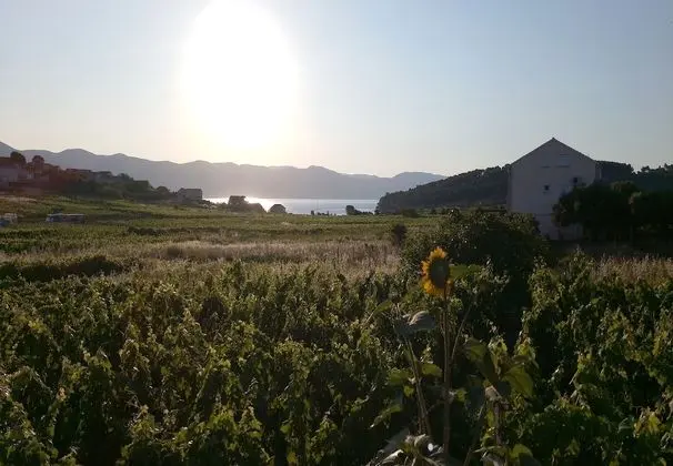 Apart Daire (Two-Bedroom Apartment with Balcony)