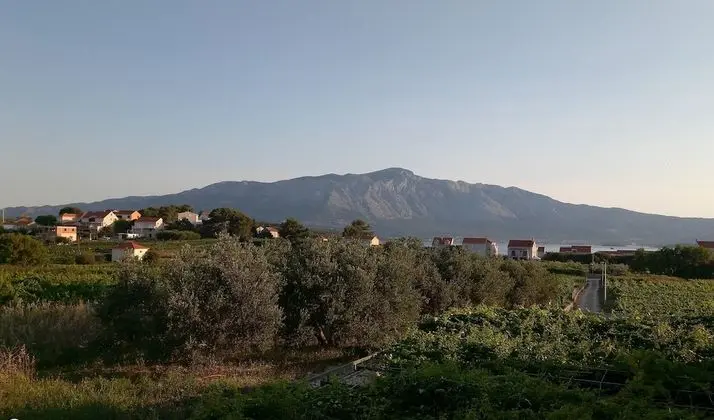 Apart Daire (Two-Bedroom Apartment with Balcony)