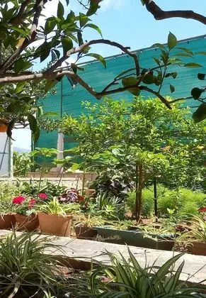 Apart Daire (Two-Bedroom Apartment with Balcony)