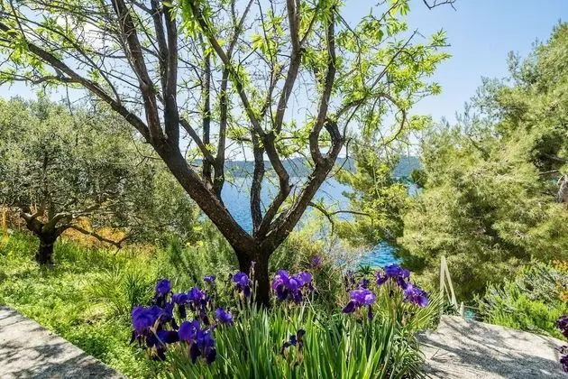 Apart Daire (One Bedroom Apartment with Terrace an)