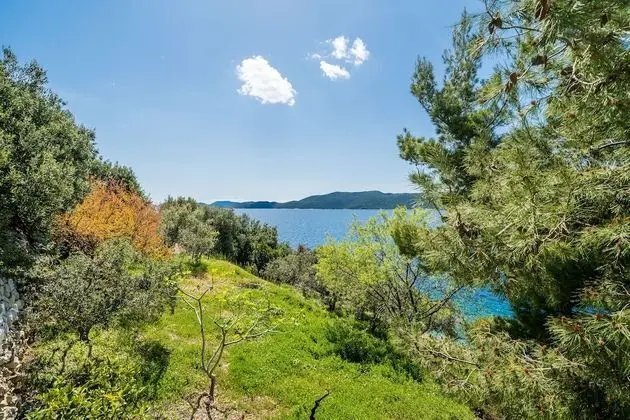 Apart Daire (One Bedroom Apartment with Terrace an)