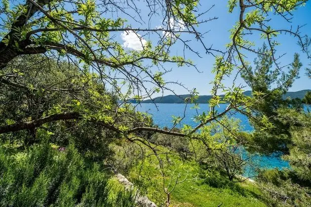 Apart Daire (One Bedroom Apartment with Terrace an)