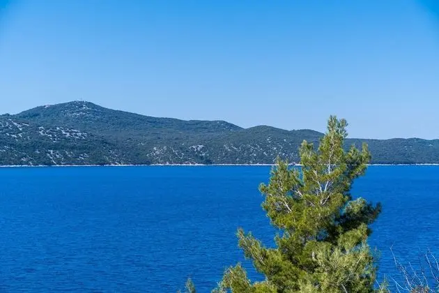 Apart Daire (One Bedroom Apartment with Terrace an)