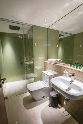 Superior Tek Büyük Yataklı Oda (Shared Apartment)