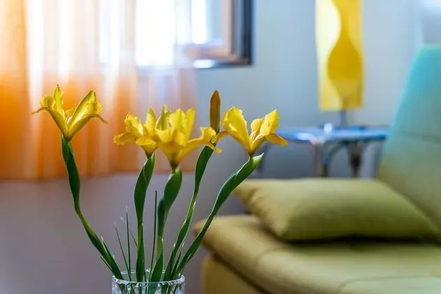 Apart Daire (Two Bedroom Apartment with Terrace)