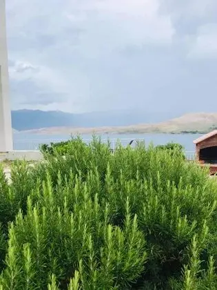 Apart Daire (One Bedroom Apartment with Balcony an)