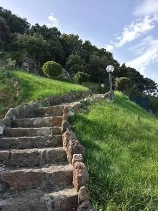 Apart Daire, 1 Yatak Odası, Sigara İçilebilir