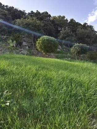 Apart Daire, 1 Yatak Odası, Sigara İçilebilir