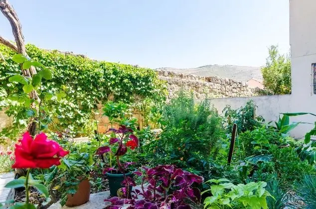 Stüdyo (Studio apartment)