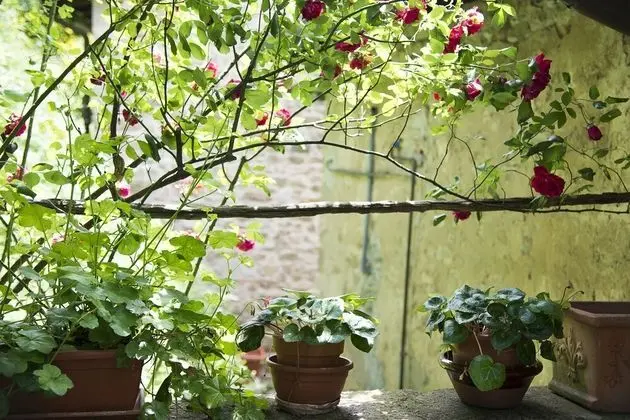 Apart Daire, 2 Yatak Odası, Sigara İçilebilir, Şömine