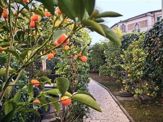 Villa, 1 Yatak Odası, Buzdolabı