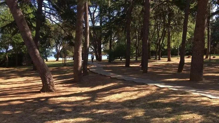 Apart Daire, 1 En Büyük (King) Boy Yatak