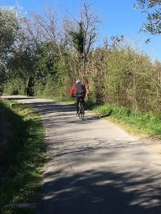 Apart Daire, 1 En Büyük (King) Boy Yatak