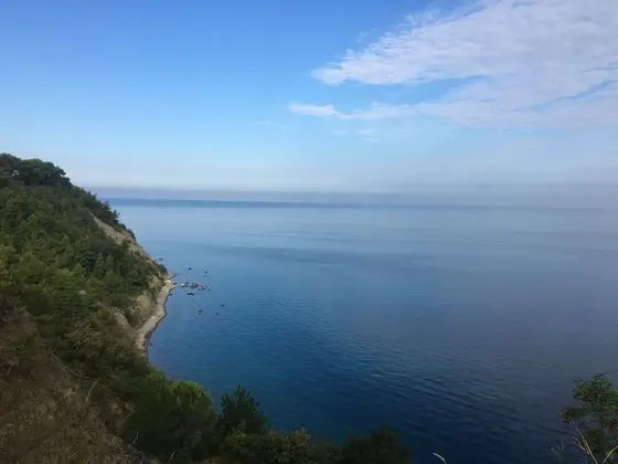 Apart Daire, 1 En Büyük (King) Boy Yatak