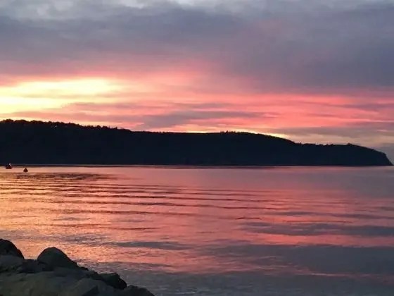 Apart Daire, 1 En Büyük (King) Boy Yatak