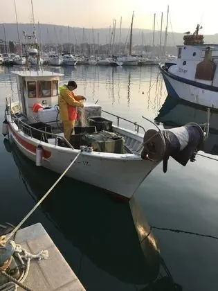 Apart Daire, 1 En Büyük (King) Boy Yatak