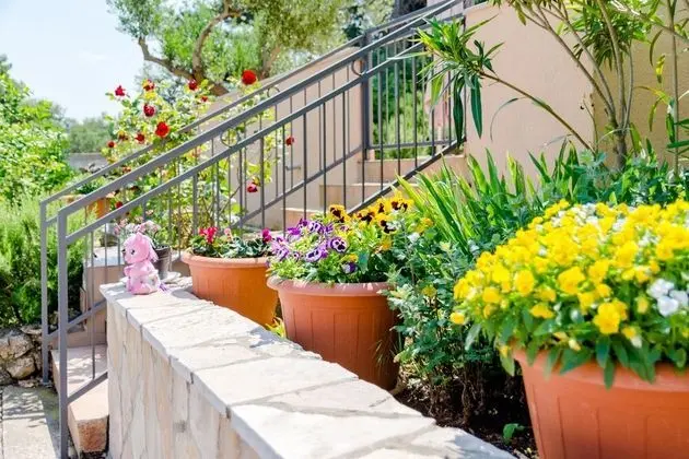Apart Daire (One Bedroom Apartment with Terrace)