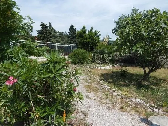 Apart Daire, 2 Yatak Odası, Teras