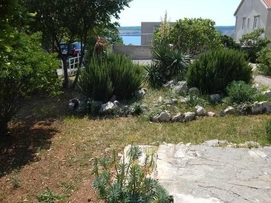 Apart Daire, 2 Yatak Odası, Teras