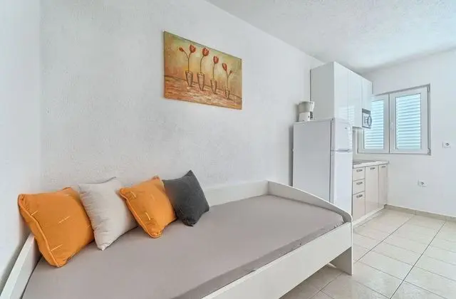 Apart Daire, 1 Yatak Odası (N1)